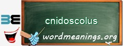 WordMeaning blackboard for cnidoscolus